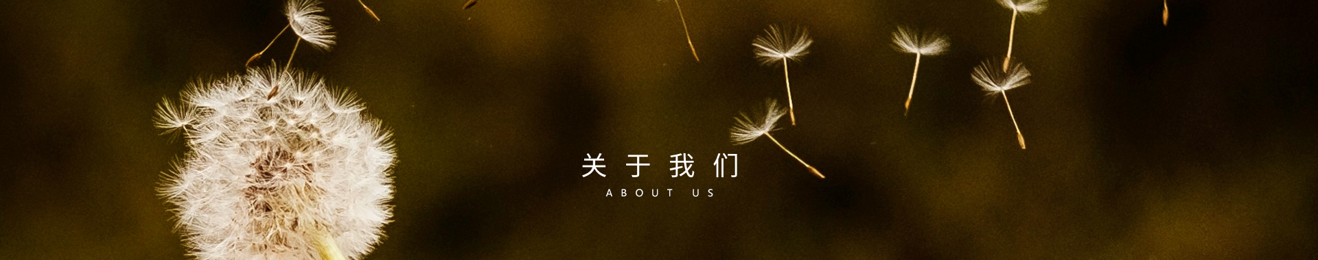 机构简介