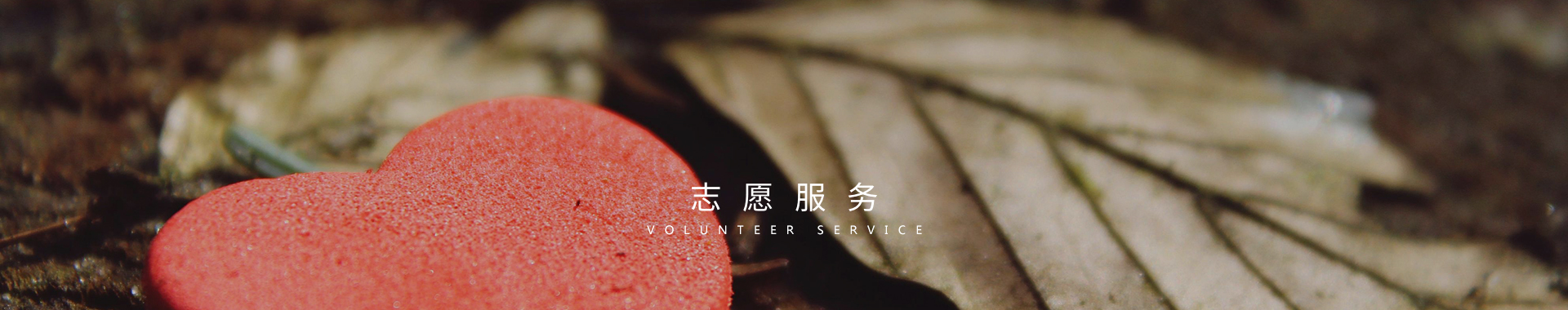 默认图片