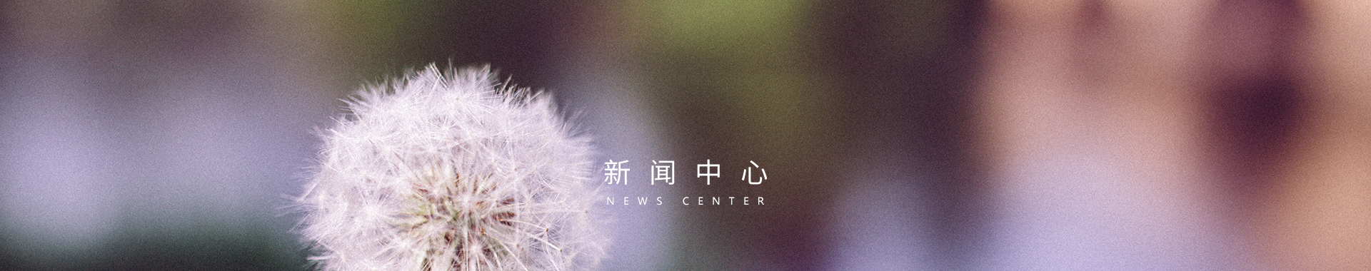 公益动态